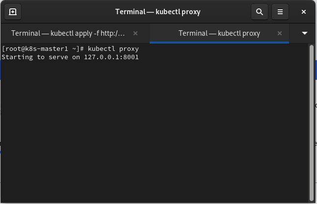 kubectl proxy 執行畫面